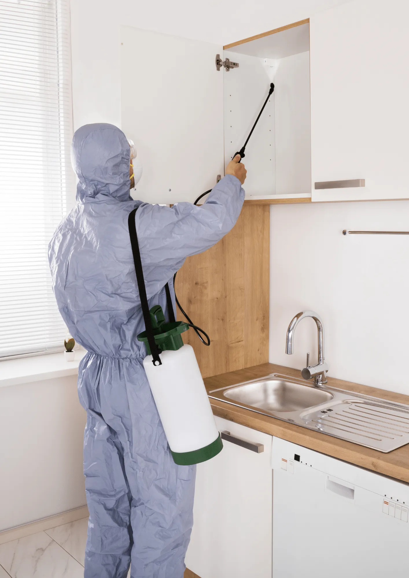 مكافحة حشرات في مسقط - خدمات احترافية بضمان شامل