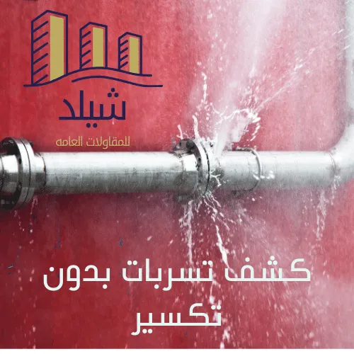 أحدث أجهزة كشف التسربات في تبوك