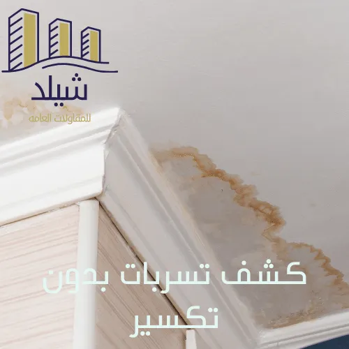 فحص تسربات المياة في دبي - تقنية دقيقة بدون تكسير