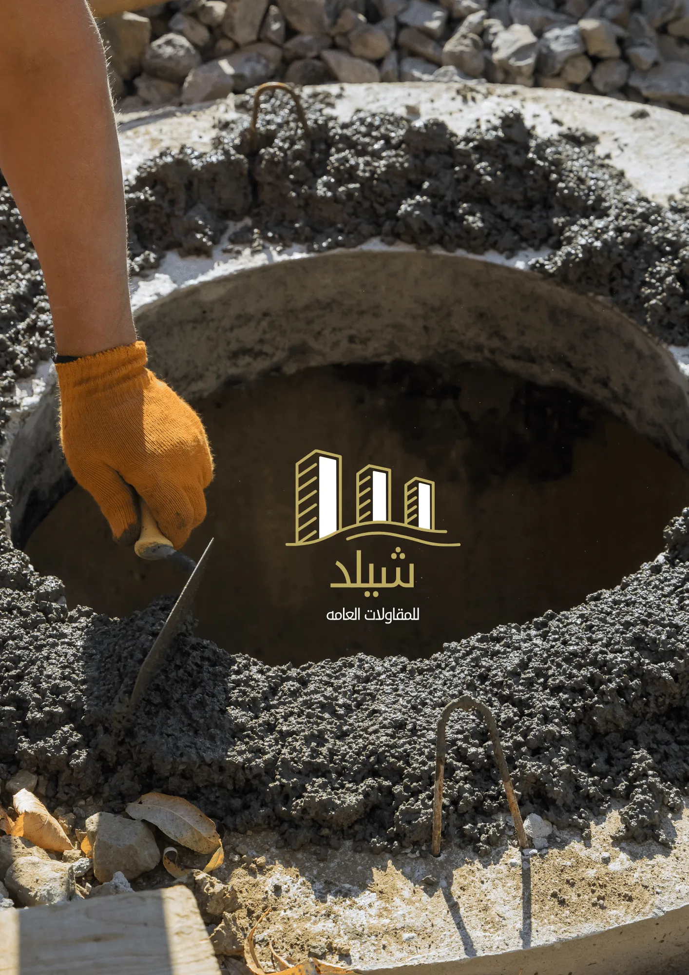 شركة مكافحة حشرات في أبوظبي - تغطية شاملة لجميع المناطق